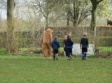 Paas-plezier op sportpark Het Springer voor S.K.N.W.K. JO7-1 en JO9-1 van zaterdag 8 april 2023 (208/240)